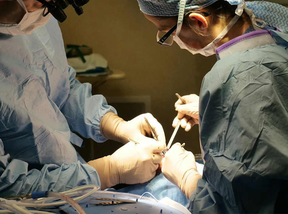 Applicazioni di dispositivi e accessori per endoscopia